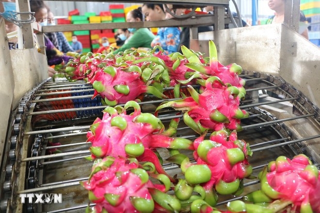 Fruit, vegetable exports estimated at US$6.11 billion in nine months